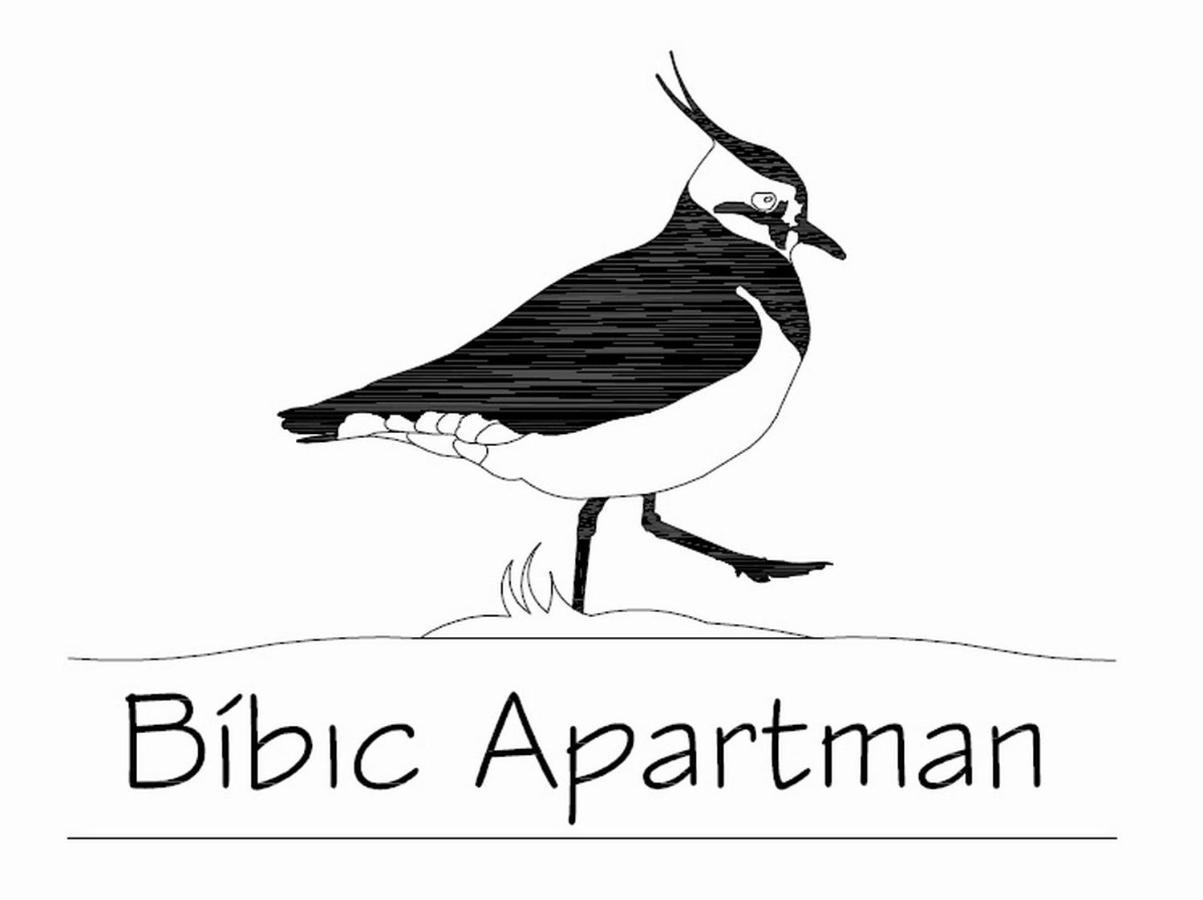 Bibic Apartman A Kapolnasnyek Buitenkant foto
