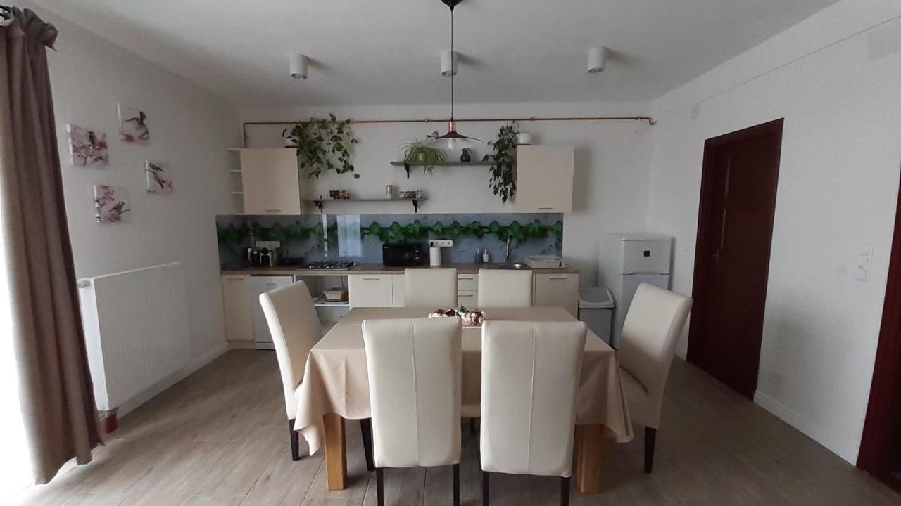 Bibic Apartman A Kapolnasnyek Buitenkant foto