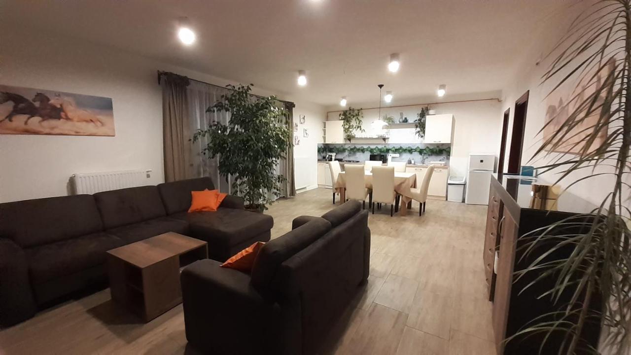 Bibic Apartman A Kapolnasnyek Buitenkant foto