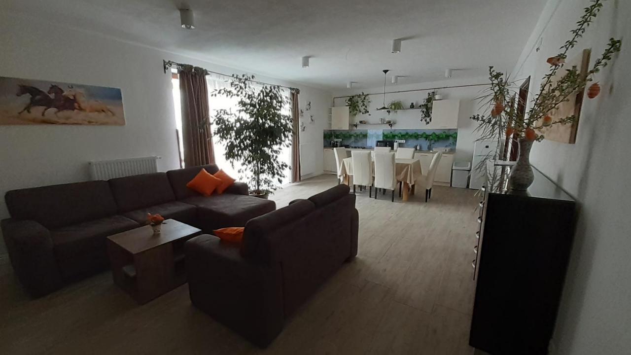 Bibic Apartman A Kapolnasnyek Buitenkant foto