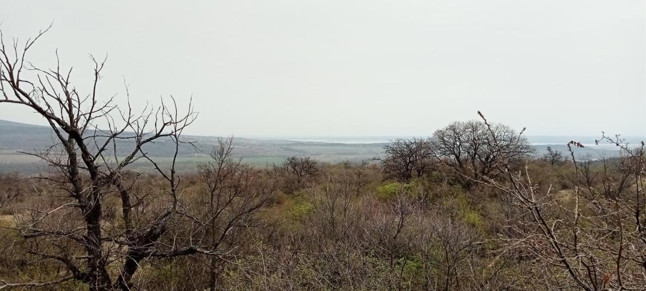 Bibic Apartman A Kapolnasnyek Buitenkant foto